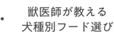獣医師が教える犬種別フード選び
